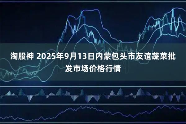 淘股神 2025年9月13日内蒙包头市友谊蔬菜批发市场价格行情