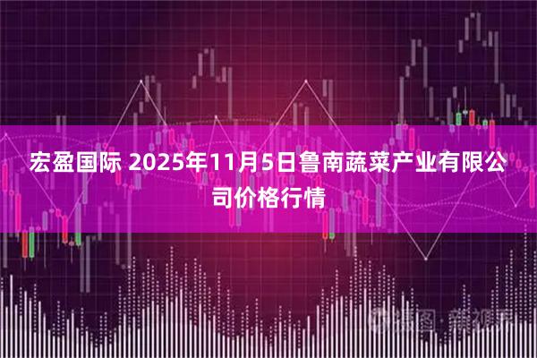 宏盈国际 2025年11月5日鲁南蔬菜产业有限公司价格行情