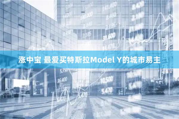涨中宝 最爱买特斯拉Model Y的城市易主