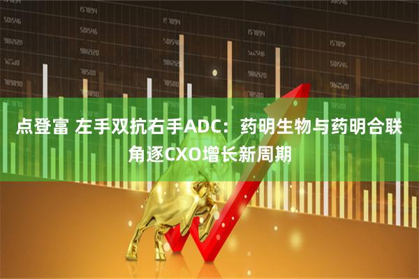 点登富 左手双抗右手ADC：药明生物与药明合联角逐CXO增长新周期