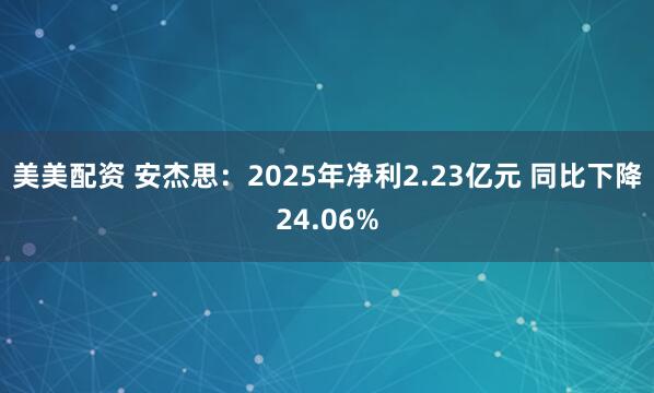 美美配资 安杰思：2025年净利2.23亿元 同比下降24.06%
