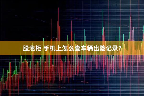 股涨柜 手机上怎么查车辆出险记录？