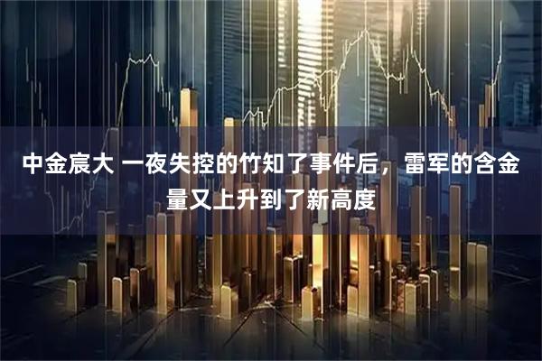 中金宸大 一夜失控的竹知了事件后,雷军的含金量又上升到了新高度